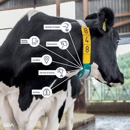 GEA CowScout ganāmpulka uzraudzības sistēma