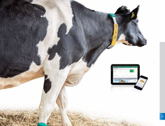 GEA CowScout ganāmpulka uzraudzības sistēma