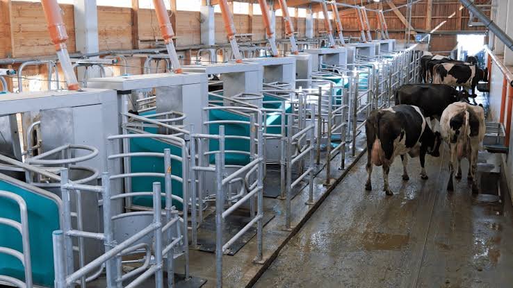 GEA DairyRobot R9600 – slaukšanas robotu sistēma