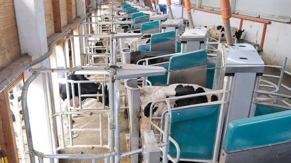 GEA DairyRobot R9600 – slaukšanas robotu sistēma