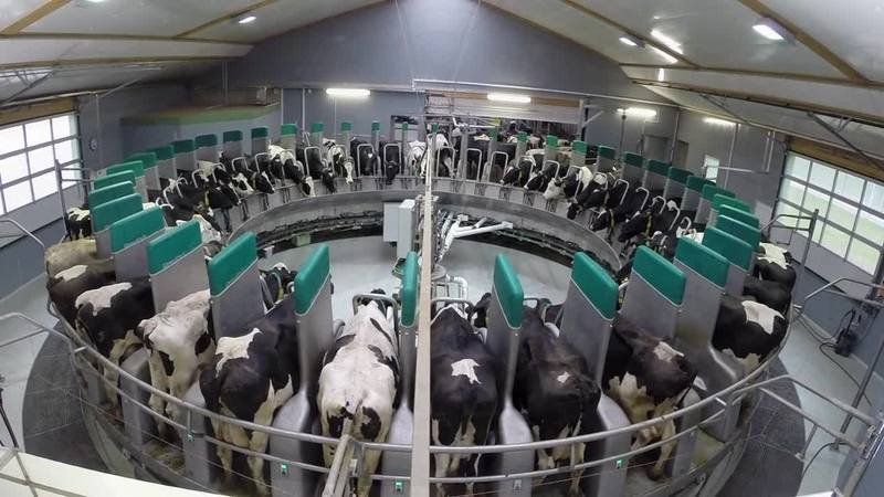 GEA DairyProQ – robotizētā karuseļtipa slaukšanas zāle