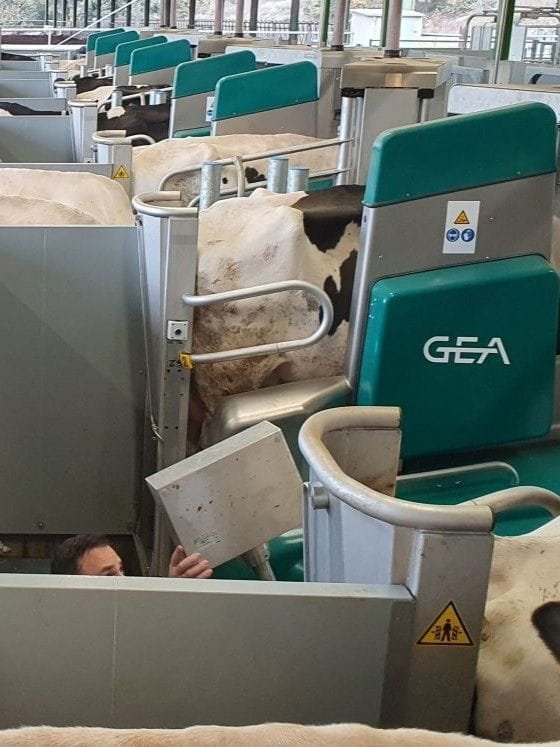 GEA DairyRobot R9600 – slaukšanas robotu sistēma