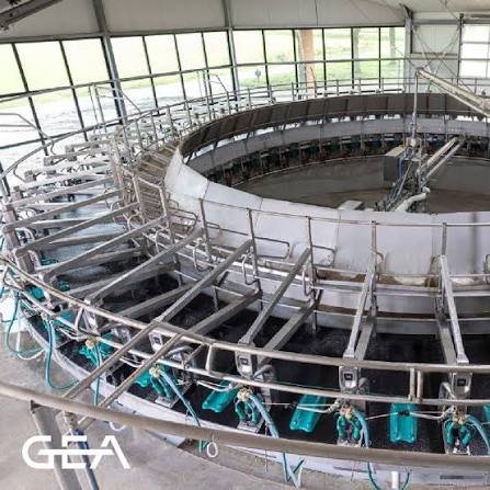 GEA DairyRotor T8600 – karuseļtipa slaukšanas zāle
