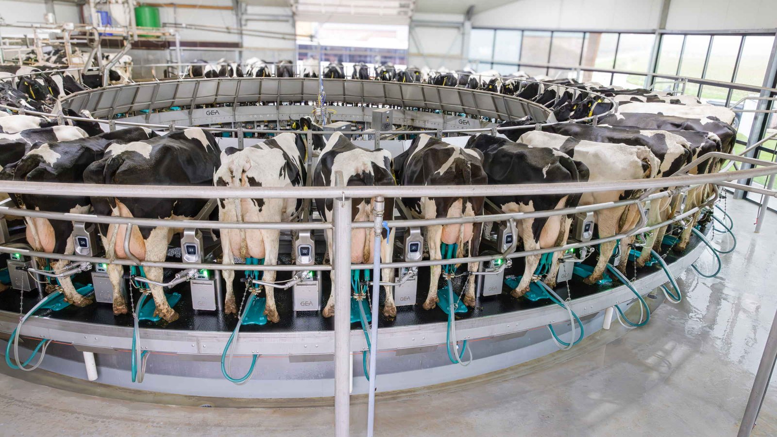 GEA DairyRotor T8600 – karuseļtipa slaukšanas zāle