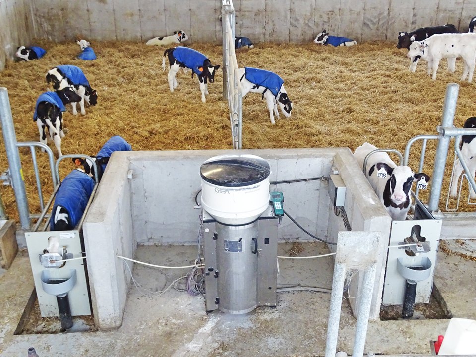 GEA DairyFeed F4110/F4120 – teļu barošanas automāti